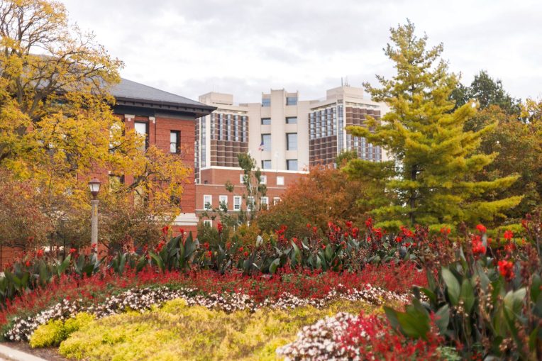 Quad with flowers blooming